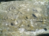 Drumtroddan Cup and Ring Stones 1