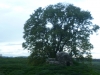 Dryslwyn Castle - Castell y Dryslwyn