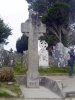 Glendalough Cross and Deer Stone