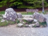 Glendalough Cross and Deer Stone