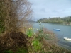 Helford - Heylfordh