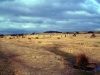 The Hurlers Stone Circles