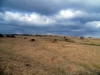 The Hurlers Stone Circles