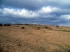 The Hurlers Stone Circles