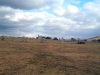 The Hurlers Stone Circles