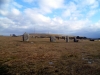 The Hurlers Stone Circles