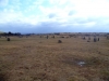 The Hurlers Stone Circles