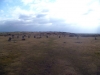 The Hurlers Stone Circles