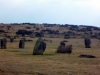 The Hurlers Stone Circles