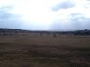 The Hurlers Stone Circles