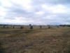 The Hurlers Stone Circles