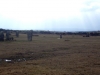 The Hurlers Stone Circles