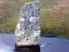 The Hurlers Stone Circles