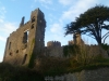 Laugharne Castle - Castell Talacharn