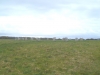 Merry Maidens Stone Circle