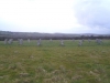 Merry Maidens Stone Circle