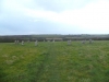 Merry Maidens Stone Circle