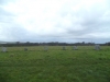 Merry Maidens Stone Circle