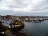 Newlyn - Lulynn