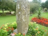 Sauchope Standing Stone 6