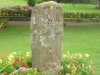 Sauchope Standing Stone 9