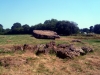 Tinkinswood Burial Chamber - Siambr Gladdu Tinkinswood