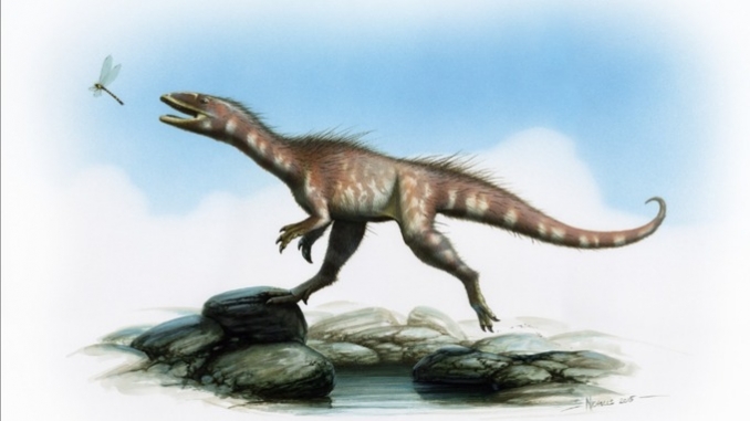 Theropod Dinosaur - Credit National Museum of Wales