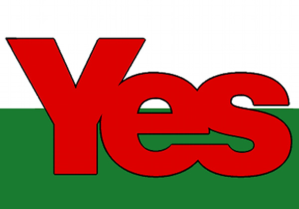 Walesforyes